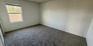 335 Sarah Nicole Way Gallery 13