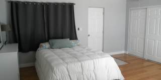 Lake Shore Village Gallery 18
