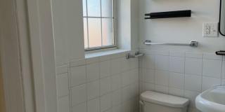 New King Edward Gallery 295