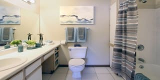 Tanglewood Gallery 8