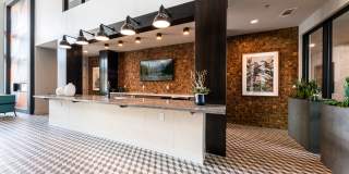 Lenox SoCo Lenox SoCo Gallery 22