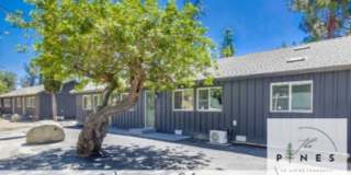 1329 Marshall Rd. Alpine Gallery 1
