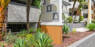 AVA Pasadena Gallery 25