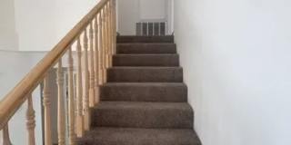 Spacious 4-Bedroom Home with Downstairs Bedroom & Brand-New Carpet Gallery 18
