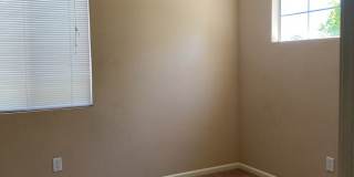 Large Corner Lot Gallery 15