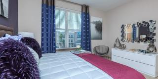 RIZE at Winter Springs Gallery 49