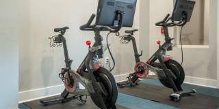 Allister North Hills Gallery 21