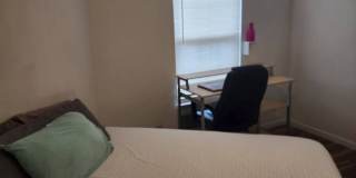 6328 N Lagoon Dr Gallery 17