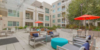 Linden Apartments Gallery 22