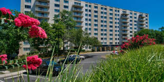 The Phoenix Apartments The Phoenix Apartments Gallery 24