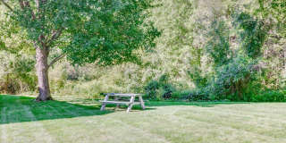 The Meadows Gallery 42