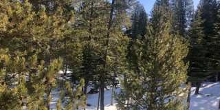 Long term Lease in Tahoe Donner- $2168 per month Furnished Gallery 17