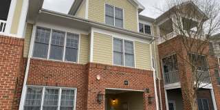 Charming 1-Bedroom Home in Secure Cary Location with Modern Finishes! Charming 1-Bedroom Home in Secure Cary Location with Modern Finishes! Gallery 3