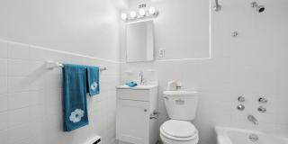 York North Gallery 13