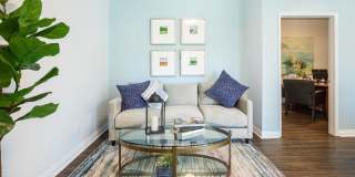 Las Ventanas Gallery 12