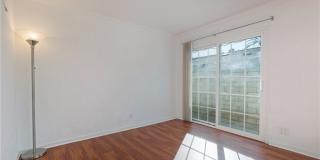 23551 Venisia Gallery 20