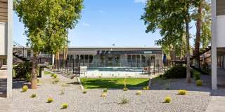 SITE Scottsdale Gallery 24
