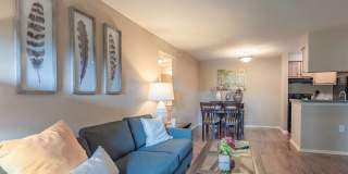 Steeplechase Gallery 10