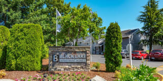 Black Lake Gallery 1