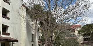 9010 SW 125th Ave Gallery 24