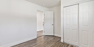 Palm Court Gallery 13