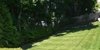 78 Orchard Avenue Gallery 27
