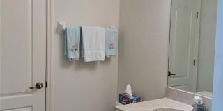 1801 AUBURN LAKES CIRCLE Gallery 19