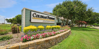 Colinas Pointe Gallery 1