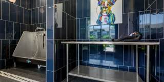 Alleia Presidio Gallery 18