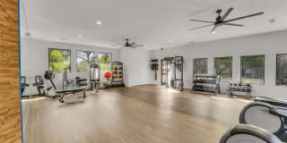 The Madrid Gallery 8