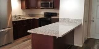 University Palms Gallery 8