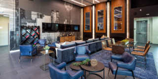 Macallan on Ross Gallery 15