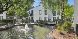 Park Lake at Walnut Creek Gallery 28