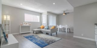 THE MODERN CACTUS Gallery 3