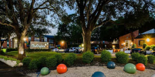 The Daphne Apartments Gallery 22