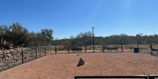 Aerie La Cholla Gallery 29