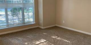 131 LIVE OAKS Drive Gallery 17