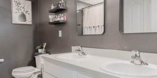 12634 CACAO TREE Trail Gallery 18