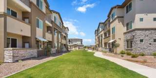 Prose Ascend Gallery 51