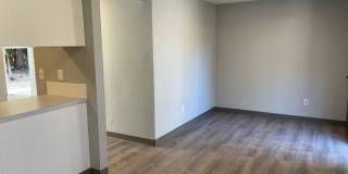 P14616 Gallery 11