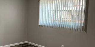 SHIRMAR 2 Gallery 20