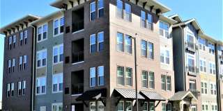 670 E Algonquin Road unit: 4409 Gallery 1