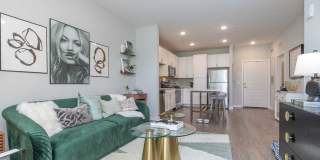 The Aster Gallery 14