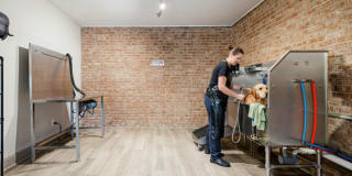 Selwyn Flats Gallery 21