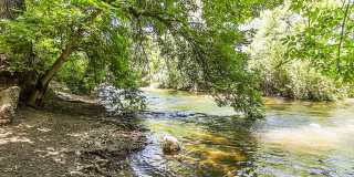 701 (384) Gallery 24