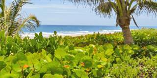 500 S Ocean Boulevard unit: 309 Gallery 41