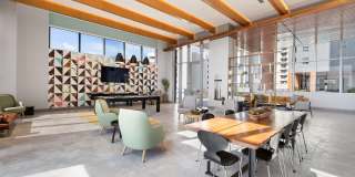 Motion at Dadeland Gallery 19