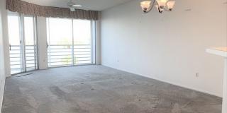 Condo - Coral Pointe At Harbourside with Water Views Condo - Coral Pointe At Harbourside with Water Views Gallery 7