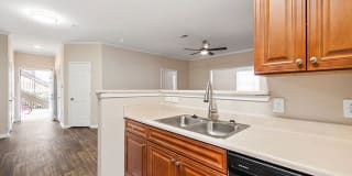 Houston Lake Gallery 16