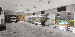 San Marino Gallery 12